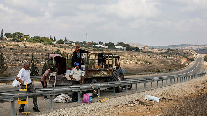 الفلسطينيون في طريقهم لجني ثمار الزيتون 